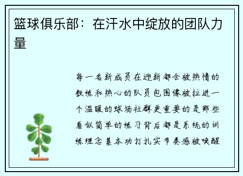 篮球俱乐部：在汗水中绽放的团队力量